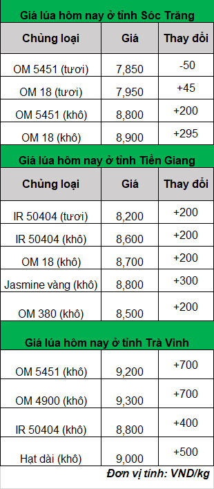 giá lua hom -nay-ngay- 8-11-2023_1699417364.png